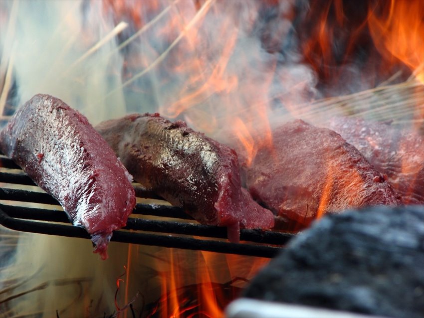 20150529-17-02- Katsuo-no-Tataki